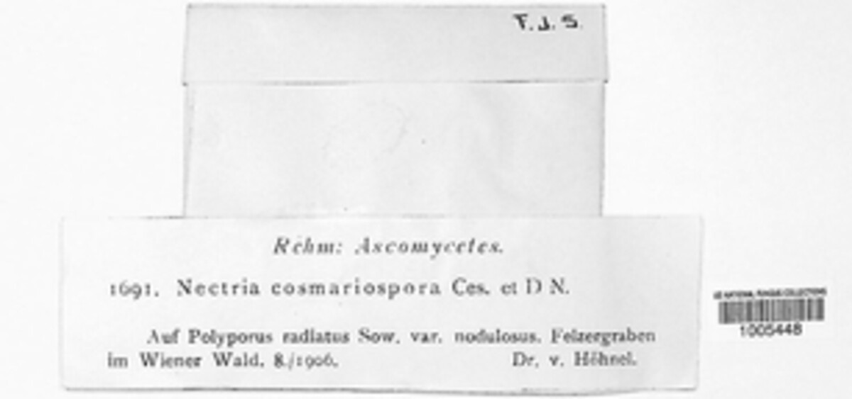 Nectria cosmariospora image